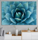 Large Agave Succulent Canvas Wall Art | Botanical Close-Up