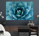 Large Agave Succulent Canvas Wall Art | Botanical Close-Up