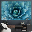 Large Agave Succulent Canvas Wall Art | Botanical Close-Up