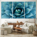 Large Agave Succulent Canvas Wall Art | Botanical Close-Up