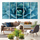 Large Agave Succulent Canvas Wall Art | Botanical Close-Up