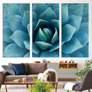 Large Agave Succulent Canvas Wall Art | Botanical Close-Up
