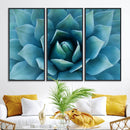 Large Agave Succulent Canvas Wall Art | Botanical Close-Up