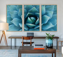 Large Agave Succulent Canvas Wall Art | Botanical Close-Up