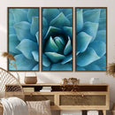 Large Agave Succulent Canvas Wall Art | Botanical Close-Up