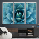 Large Agave Succulent Canvas Wall Art | Botanical Close-Up