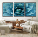Large Agave Succulent Canvas Wall Art | Botanical Close-Up