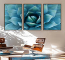 Large Agave Succulent Canvas Wall Art | Botanical Close-Up