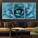 Large Agave Succulent Canvas Wall Art | Botanical Close-Up