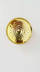Unlacquered Brass Solid Rain Shower Head - Outdoor showerhead