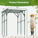 Large Garden Arch Trellis for Climbing Plants Outdoor Grape Vine Support-Black by LJGDeals