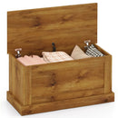 Large Storage Chest with Safety Metal Hinge by LJGDeals