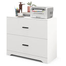 2-Drawer Lateral File Cabinet with Adjustable Bars for Home and Office by LJGDeals