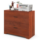 2-Drawer Lateral File Cabinet with Adjustable Bars for Home and Office by LJGDeals