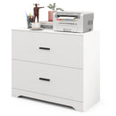 2-Drawer Lateral File Cabinet with Adjustable Bars for Home and Office