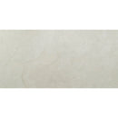 MSI Legend White Porcelain Wall and Floor Tile