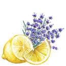 Hand Soap | Lavender & Lemon by Rustic Strength