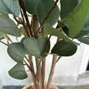 Tall Lifelike Potted Tree by Decor Steals