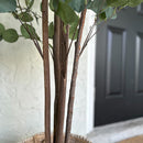 Tall Lifelike Potted Tree by Decor Steals