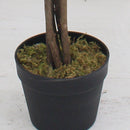 Tall Lifelike Potted Tree by Decor Steals
