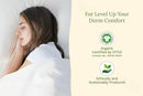 Organic Sateen Bed Sheets Set by Organic Cotton Mart