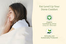 Organic Sateen Bed Sheets Set by Organic Cotton Mart