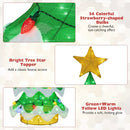 Lighted Christmas Tree Outdoor Indoor 3D Mesh Tree with 34 Colorful Strawberry Bulbs-M by LJGDeals