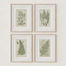 Antique Ferns Set of 4 In French Gray and Green