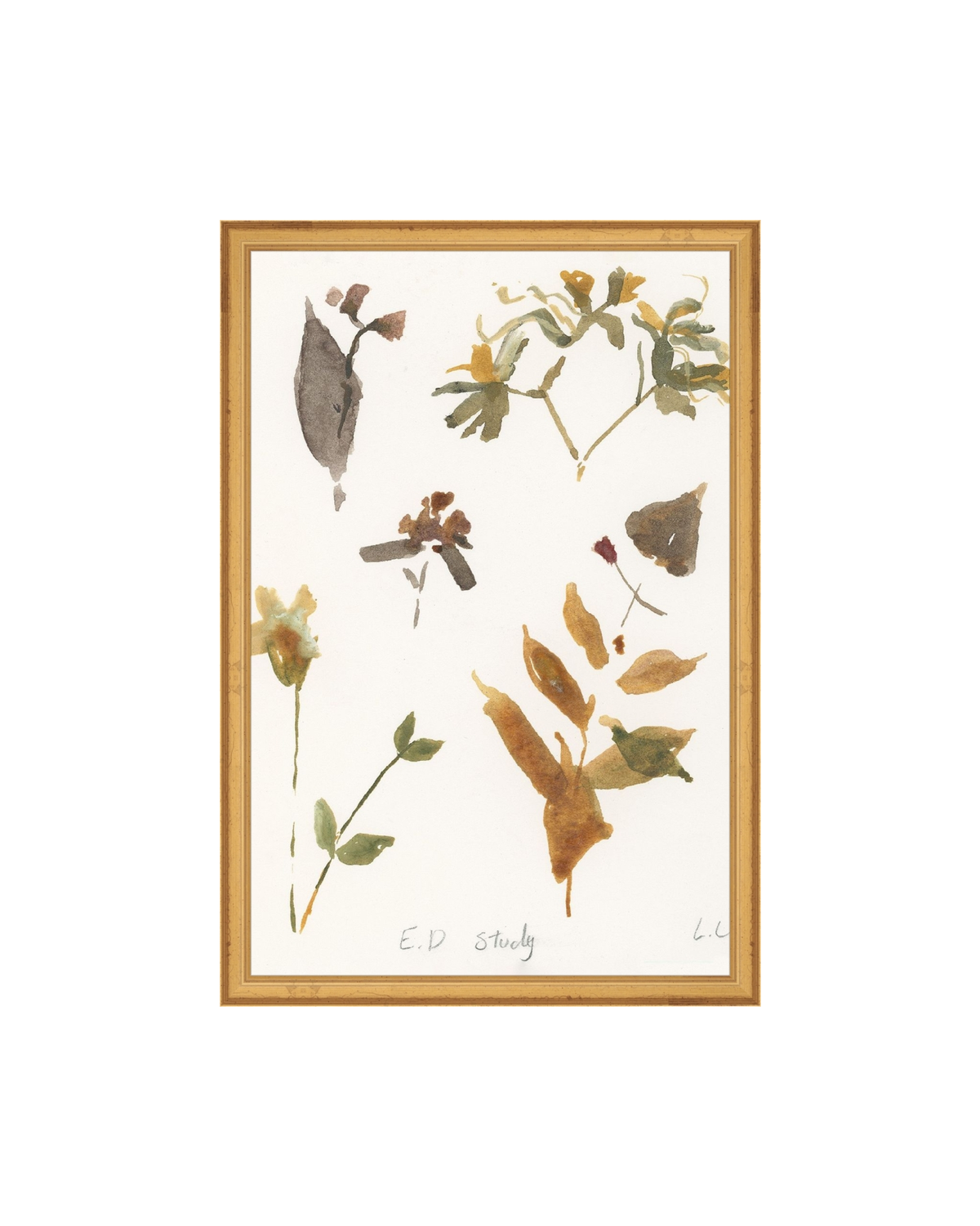E.D Botanical Study, photo 32 of 34
