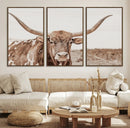 Longhorn Bull Wall Art Canvas Print – Framed Rustic Cow