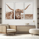 Longhorn Bull Wall Art Canvas Print – Framed Rustic Cow
