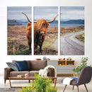 Longhorn Highland Cow Canvas Wall Art Print Animal