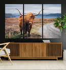 Longhorn Highland Cow Canvas Wall Art Print Animal