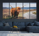 Longhorn Highland Cow Canvas Wall Art Print Animal
