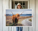 Longhorn Highland Cow Canvas Wall Art Print Animal