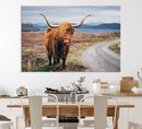Longhorn Highland Cow Canvas Wall Art Print Animal