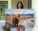 Longhorn Highland Cow Canvas Wall Art Print Animal