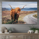 Longhorn Highland Cow Canvas Wall Art Print Animal