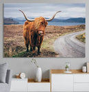 Longhorn Highland Cow Canvas Wall Art Print Animal