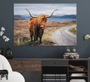 Longhorn Highland Cow Canvas Wall Art Print Animal