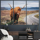 Longhorn Highland Cow Canvas Wall Art Print Animal