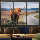 Longhorn Highland Cow Canvas Wall Art Print Animal