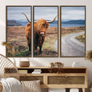 Longhorn Highland Cow Canvas Wall Art Print Animal