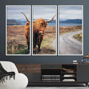 Longhorn Highland Cow Canvas Wall Art Print Animal