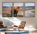 Longhorn Highland Cow Canvas Wall Art Print Animal