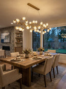 Lotus Chandelier