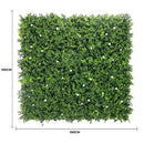 Sample Panel – White Flowering Boxwood Green Wall (Small Sample) by Designer Plants USA