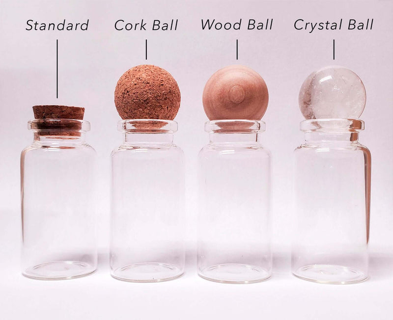 Small Alchemist Terrarium Starter Kit with Baby Moss Ball Pet