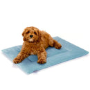 PAWD Crate Pad & Dog bed by KindTail