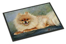 Pomeranian Full Body Doormat Indoor Outdoor 24H X 36W Front Door Mat Rugs for Entryway, Non Slip Washable Low Pile,